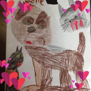 Meet your Posher, Maria